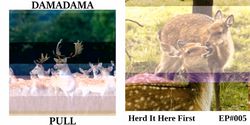 Cover art of DAMADAMA releases